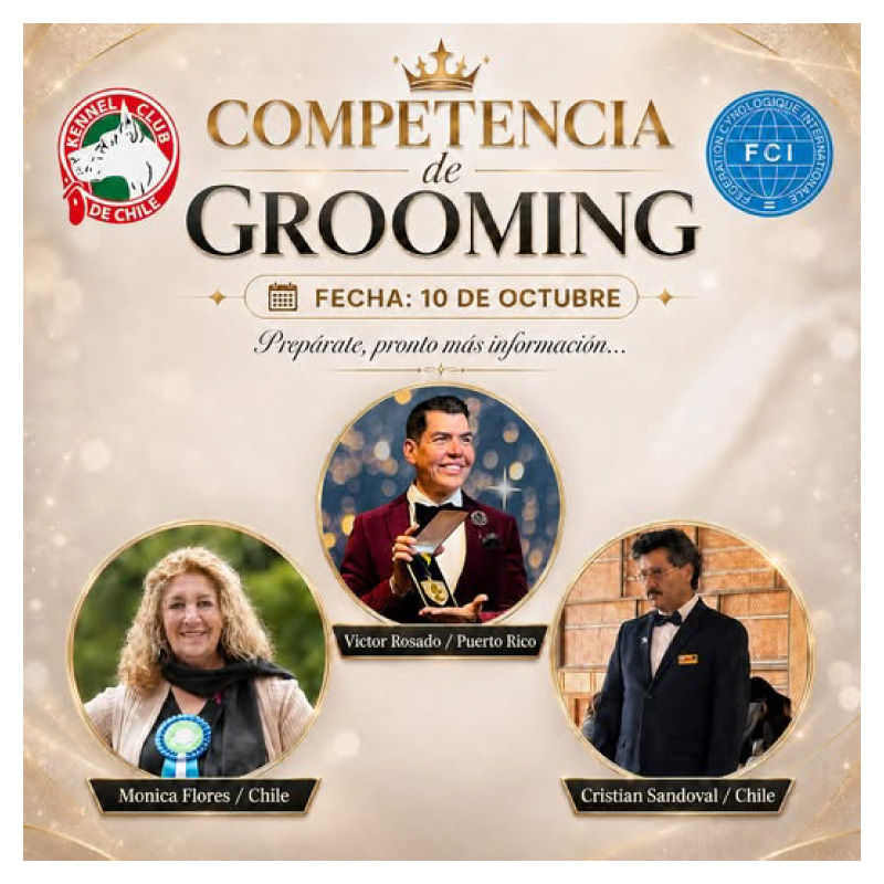 Kennel Club de Chile confirma fecha de su Competencia de Grooming