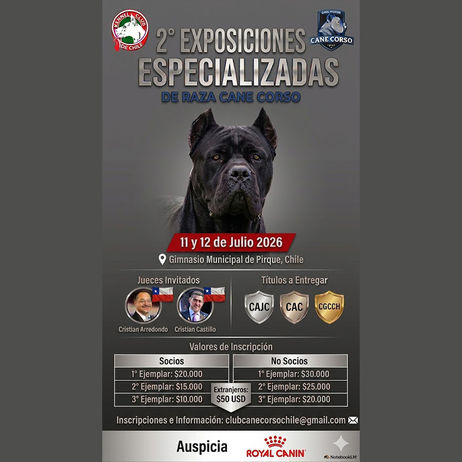 Club Cane Corso Chile