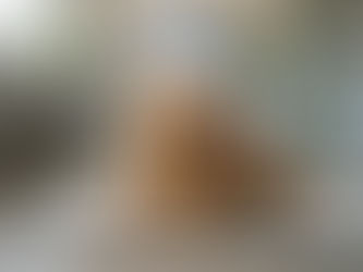 Sistema neuroendocrino en perros: por qué el control hormonal anual puede salvarle la vida a tu mascota