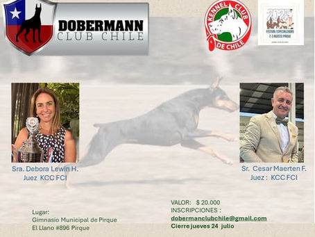Dobermann Club de Chile