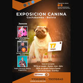 Kennel Club Boliviano
