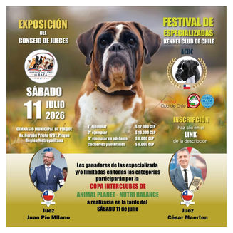 Kennel Club de Chile realizará la Exposición del Consejo de Jueces y el Festival de Especializadas el 11 de julio en Pirque
