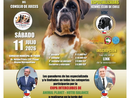 Kennel Club de Chile realizará la Exposición del Consejo de Jueces y el Festival de Especializadas el 11 de julio en Pirque