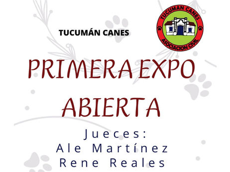 Tucumán Canes