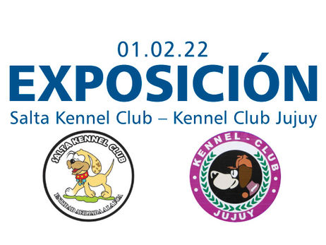 Salta Kennel Club – Kennel Club Jujuy