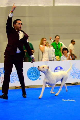 Agustin Farias Handler3
