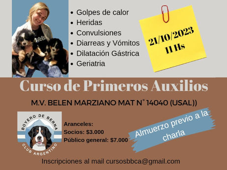 Boyero de Berna Club Argentino