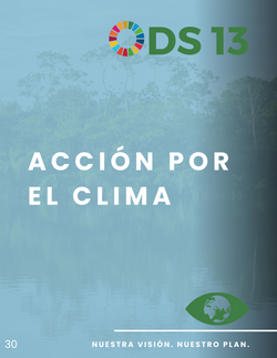 ODS 13