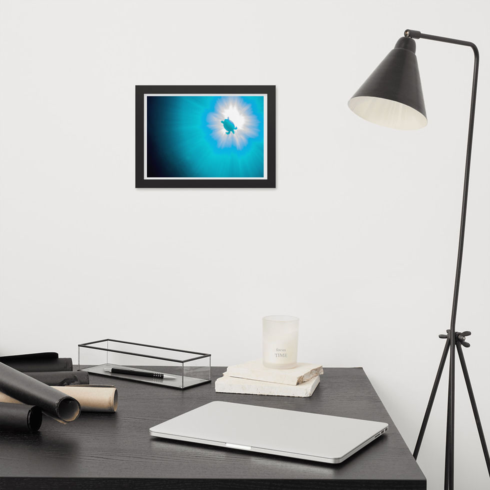 Thumbnail: 'Turtle In The Sun' Framed Matte Paper Print
