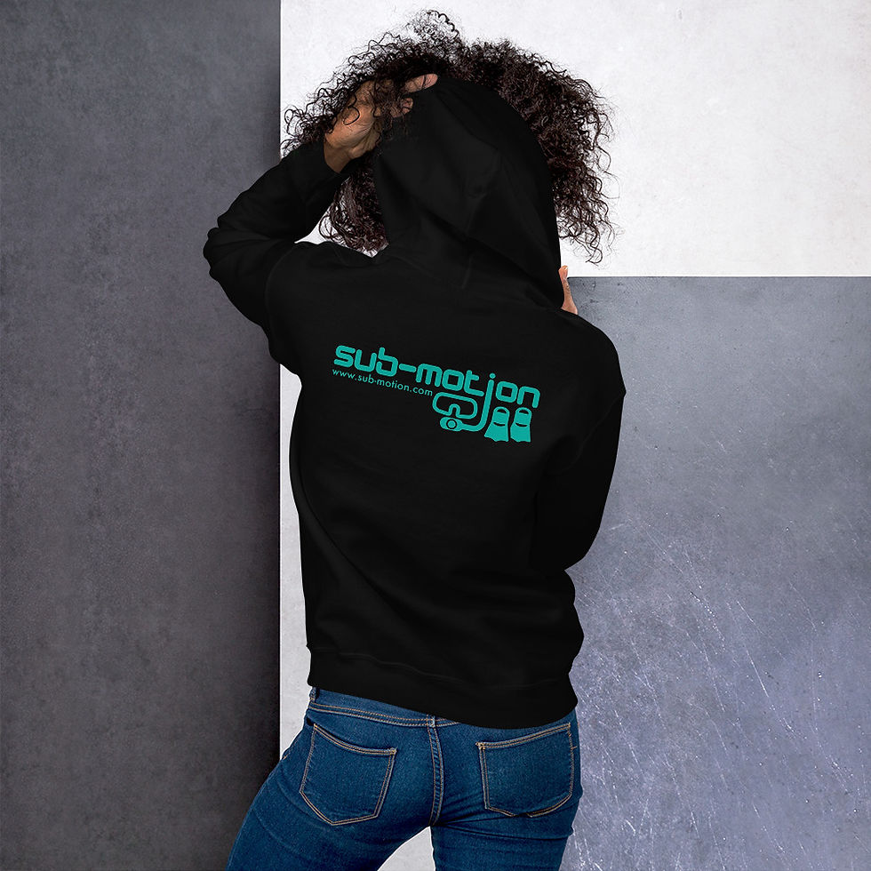 Thumbnail: Aqua Logo Ladies Hoodie