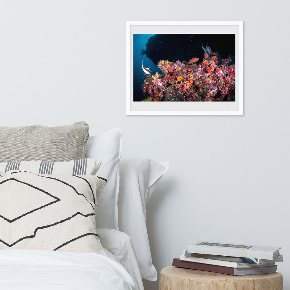 Thumbnail: 'Vibrant Coral Reef' Premium Framed Luster Photo Paper Print
