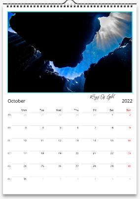Thumbnail: sub-motion A4 size 2022 Marine Life Calendar