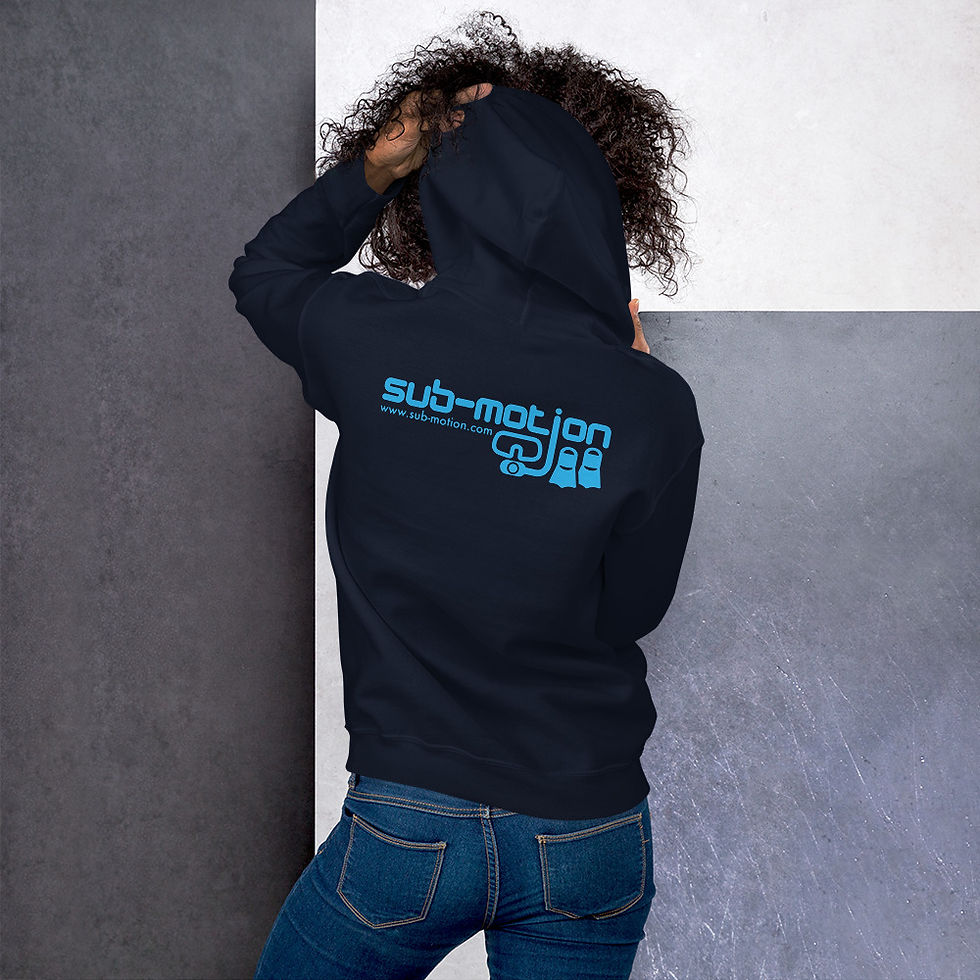 Thumbnail: Baby Blue Logo Ladies Hoodie