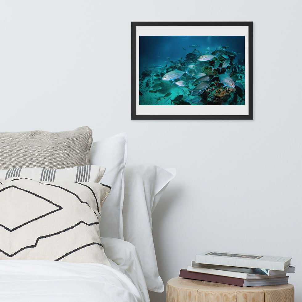Thumbnail: 'Feeding Fenzy" Premium Framed Lustered Photo Paper Print