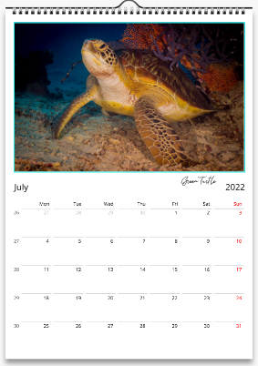 Thumbnail: sub-motion A3 size 2022 Marine Life Calendar