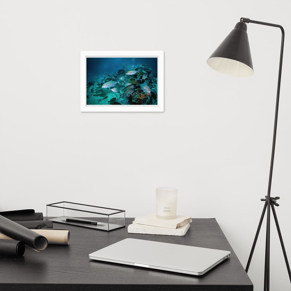 Thumbnail: 'Feeding Frenzy' Framed Matte Paper Print