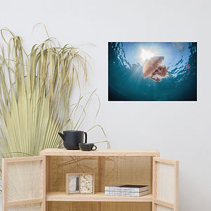 premium-luster-photo-paper-poster-(in)-2