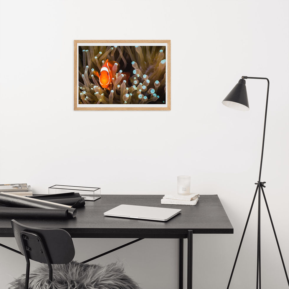 Thumbnail: 'I Found Nemo 2' Framed Matte Paper Print