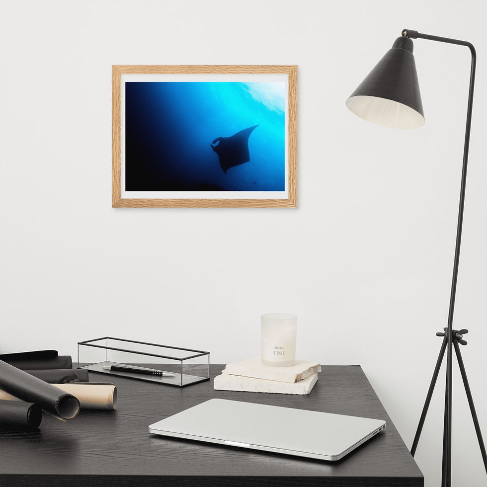 Thumbnail: 'Manta Silhouette' Framed Matte Paper Print