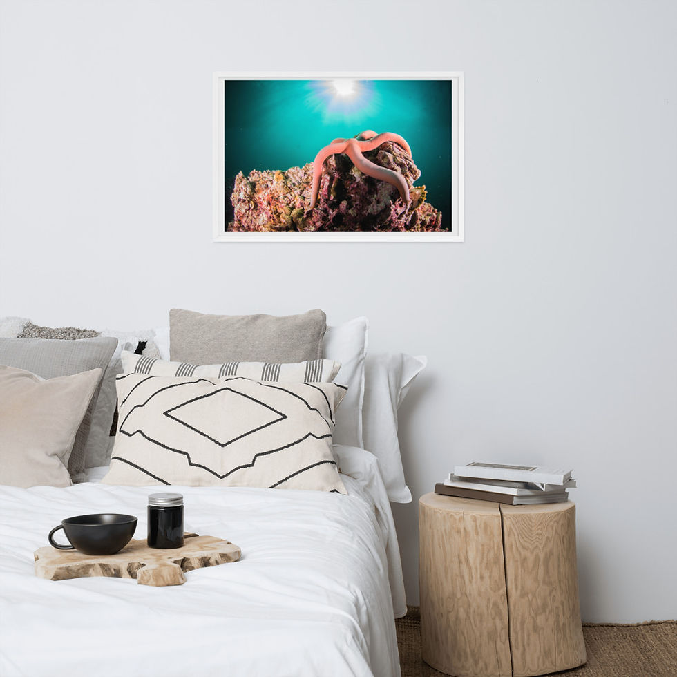 Thumbnail: "Pretty In Pink' Premium Framed Lustered Photo Paper Print