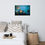 Thumbnail: 'Batfish' Premium Framed Lustered Photo Paper Print