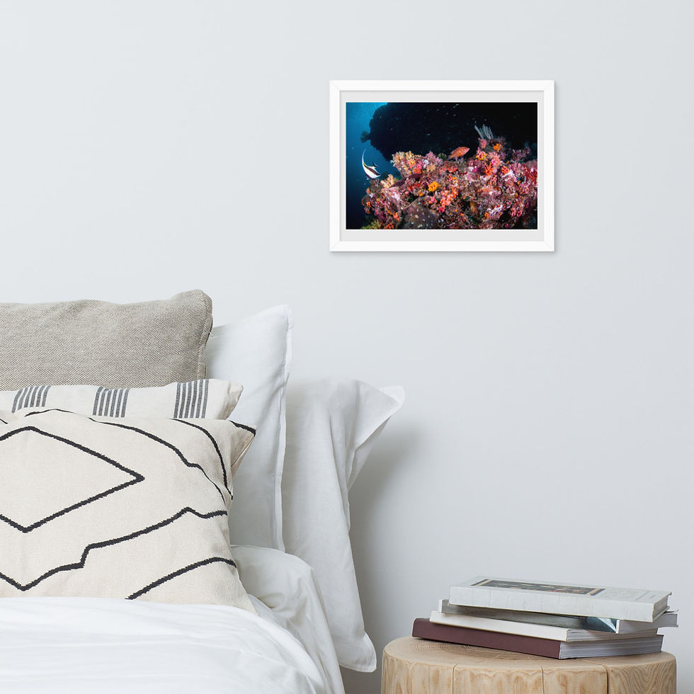 Thumbnail: 'Vibrant Coral Reef' Premium Framed Luster Photo Paper Print