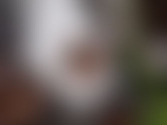 The Secret to Glowing Skin: Korean Facial Rituals