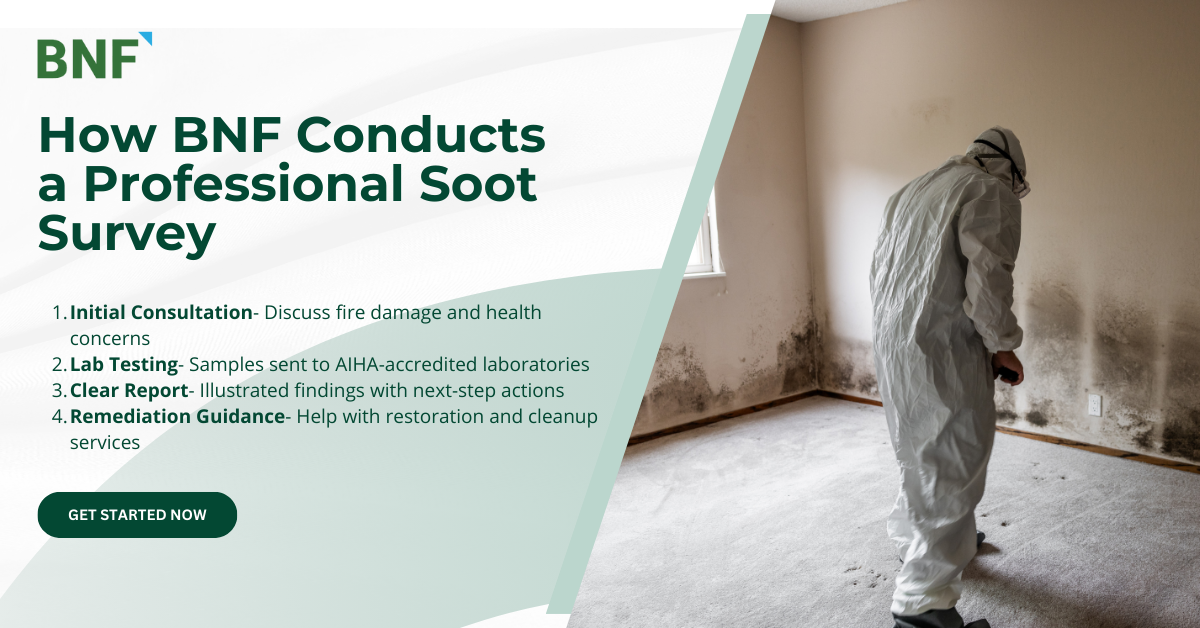 Soot Survey