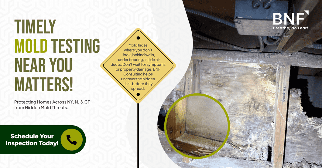 mold inspection near me