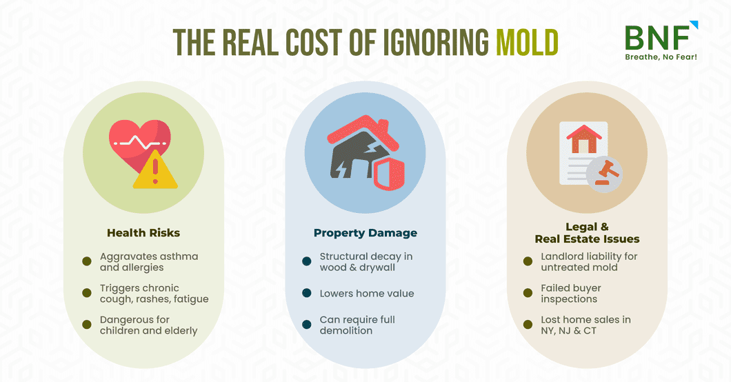 mold inspection near me