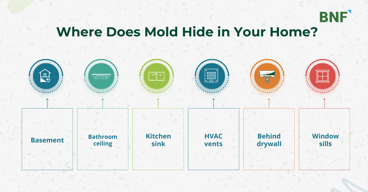 mold exposure