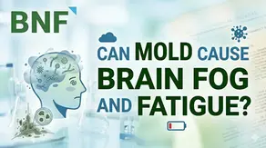 Can Mold Cause Brain Fog and Fatigue?