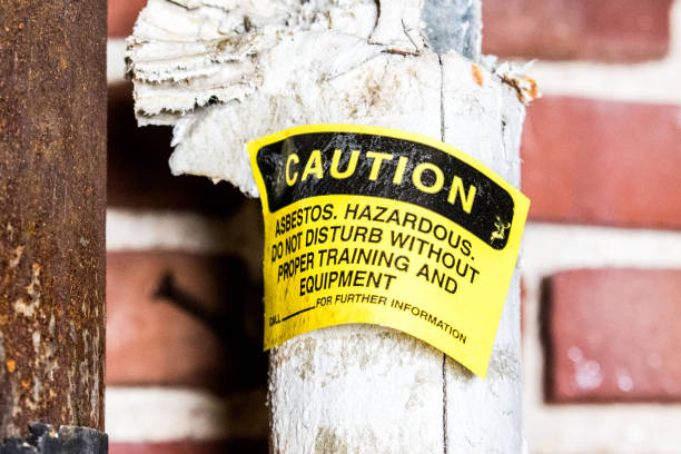 asbestos, inspection, black mold, mycotoxins