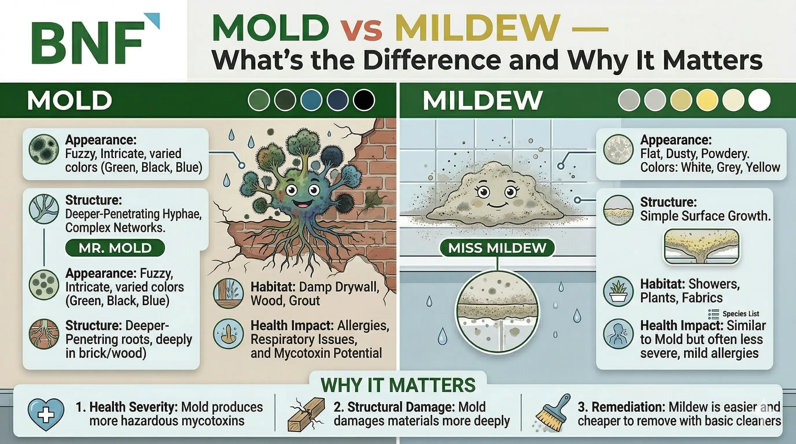 mildew vs mold on duvet fabric comparison