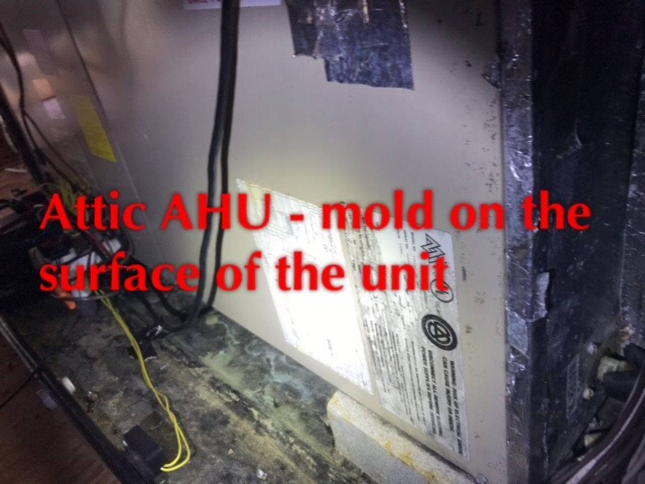 Mold in HVAC system