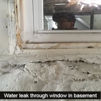 mold inspection
