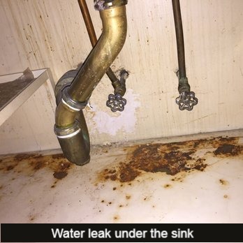 mold inspection