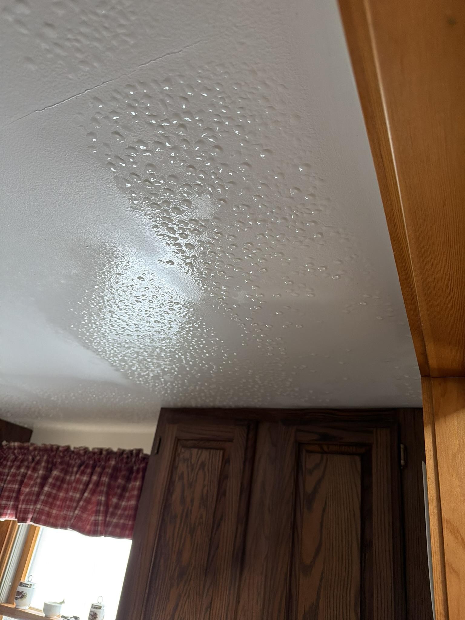 Mold After Flooding NJ - BNF CONSULTING