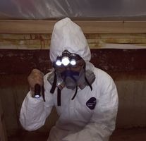 Mold testing kit