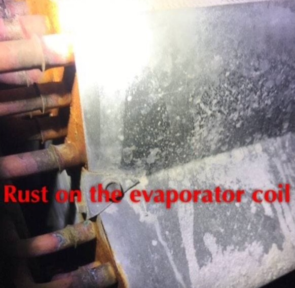 Mold in HVAC system