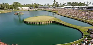 Elite Black Rides luxury black car and chauffeur service serving Ponte Vedra Beach and Jacksonville Florida