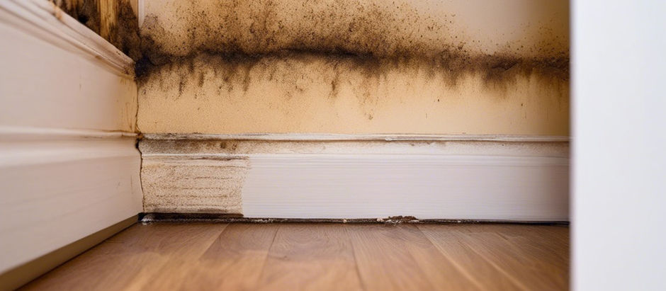 The Unseen Threat: The Evolution of Mold Detection in Residential Safety for Real Estate Agents