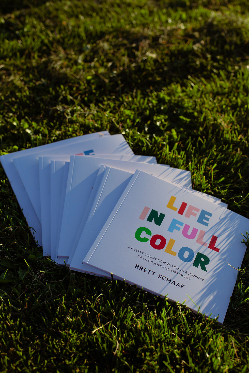 Thumbnail: Life in Full Color Poetry Book