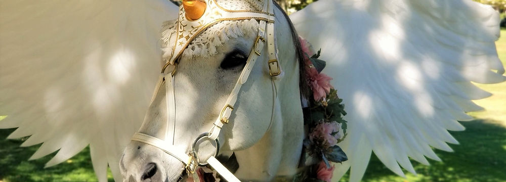 A horse dressed as an alicorn.