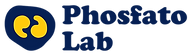 Logo da PhosfatoLab Psicoterapia Online