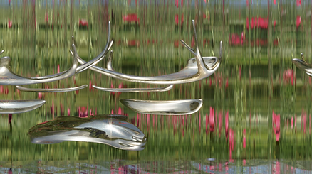 Schermata 2025-12-14 alle 11.33.26.png