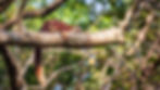 1X1A2553-Enhanced-NR.jpeg