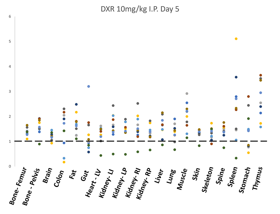 dxr 10.png