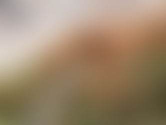 Eagle Mountain, TX Pest Control & Exterminators: Top Companies, Cost & Reviews