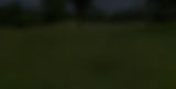 MV_bg_filter.jpg